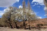 BOLIVIA 2 - Cordillera de Los Frailes - 23